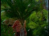 Click to watch 'Split Personality' (popup) Land Of The Lost